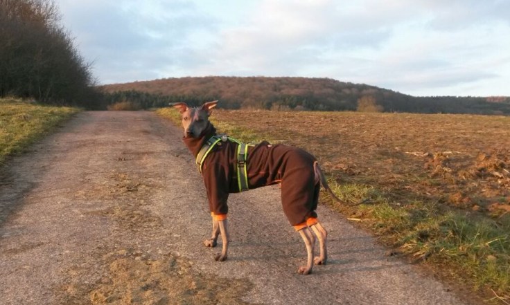 photo5287265506753095839