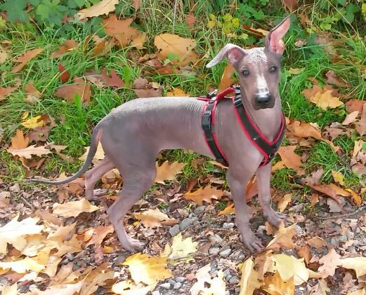 photo5442942613645797415