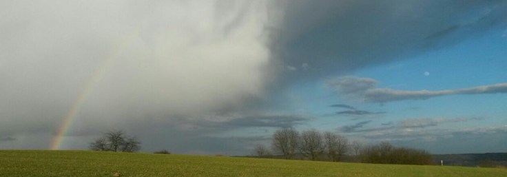 photo5330086476723103862