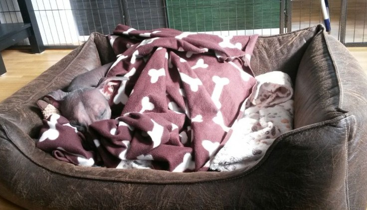 photo5337240775546742914