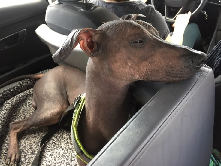 photo5379559522105927864