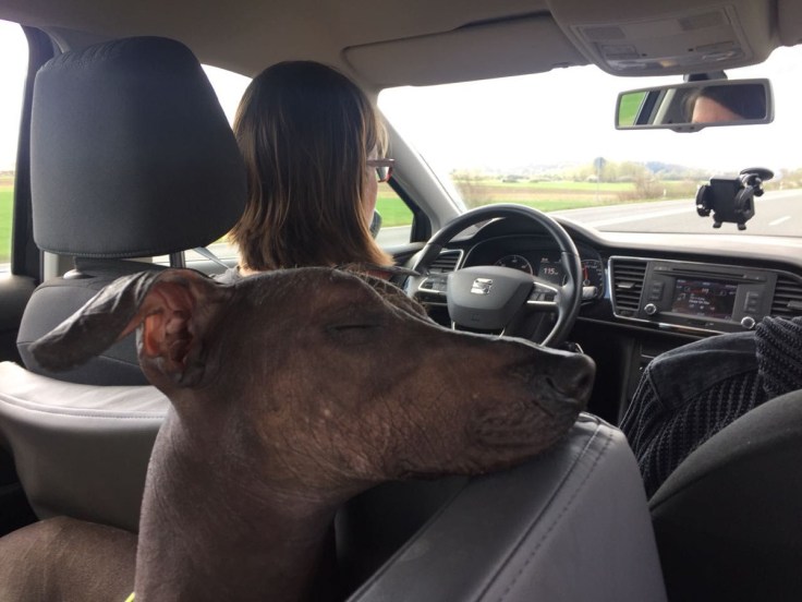 photo5379559522105927865