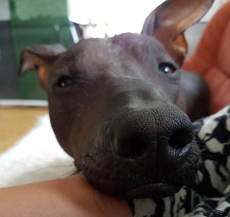 photo5210695826232420761