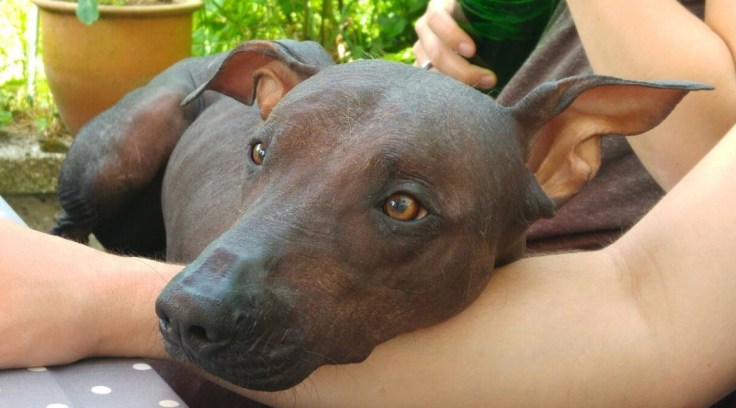 photo5462971656759781684