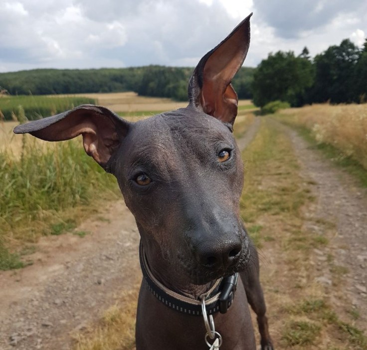 photo5350554005933238587