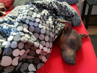 photo5350554005933238588