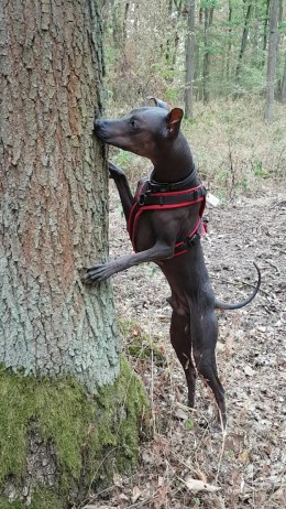 photo5235777584837536204