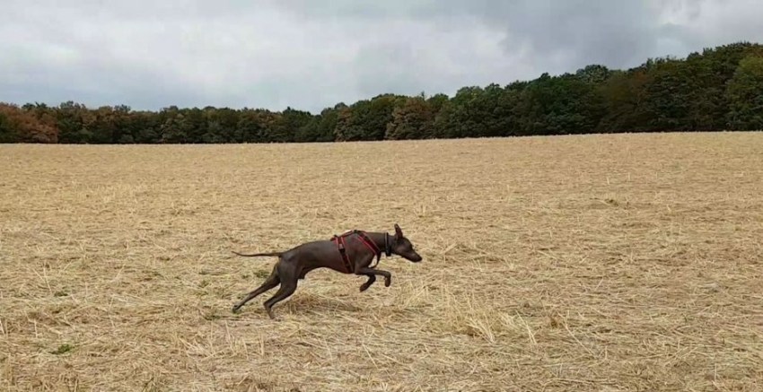 photo5235777584837536210