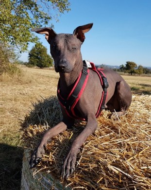 photo5300919804787534177