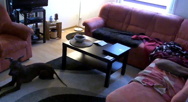 Screenshot_20181101-092815_360Eyes