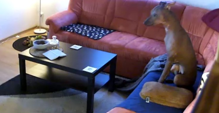 Screenshot_20181203-184209_Video Player