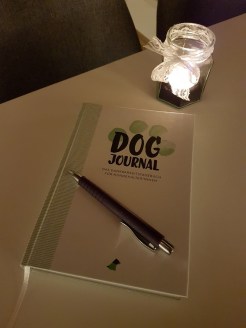 photo5296766966549293643