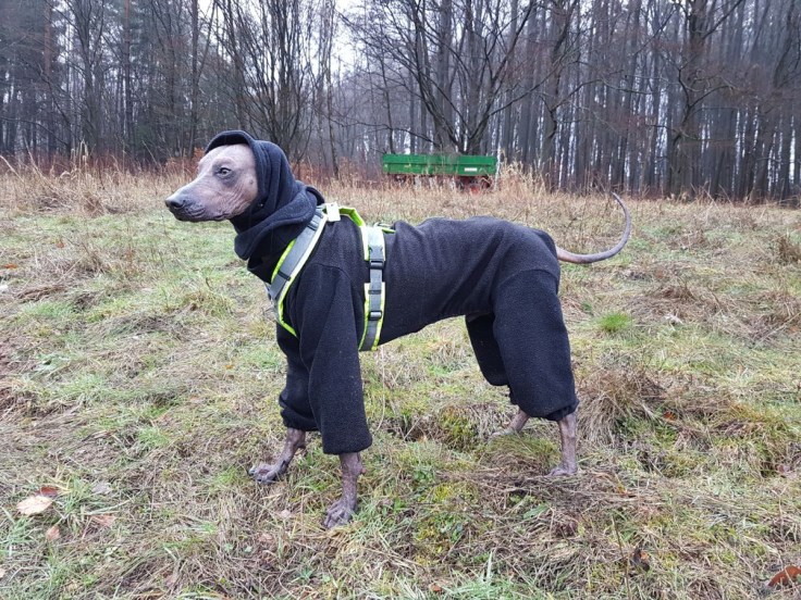 photo5363853689992882911