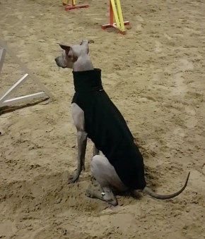 screenshot_20190125-184912_video player