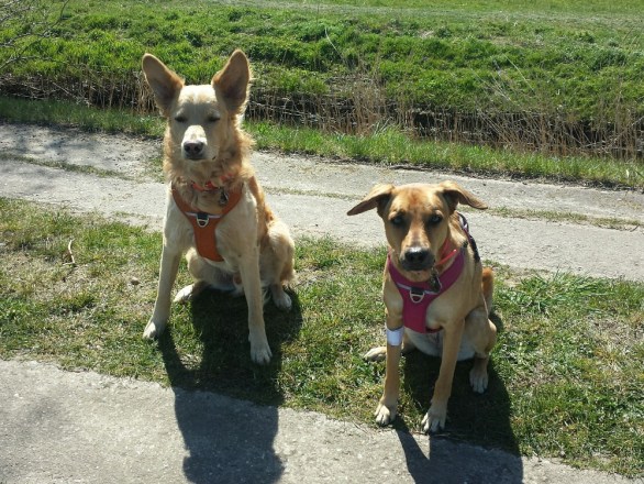 20190418_121955_resized