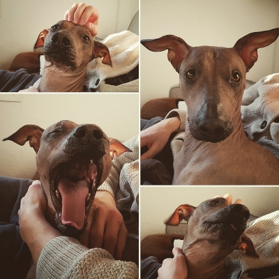 -82946434078048733800.2