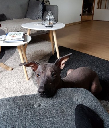 257915487_178491jpg.0