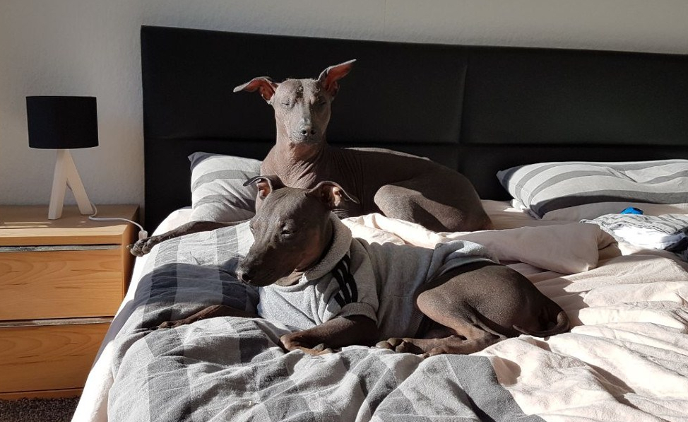 photo5474660947126758173