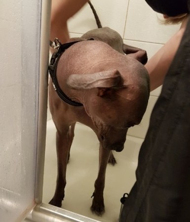 11108595971567931430.2