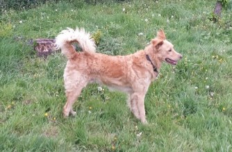 20190502_175040_resized