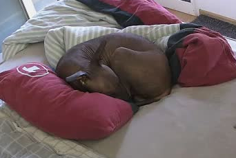 2019y12M18d13h59m50s